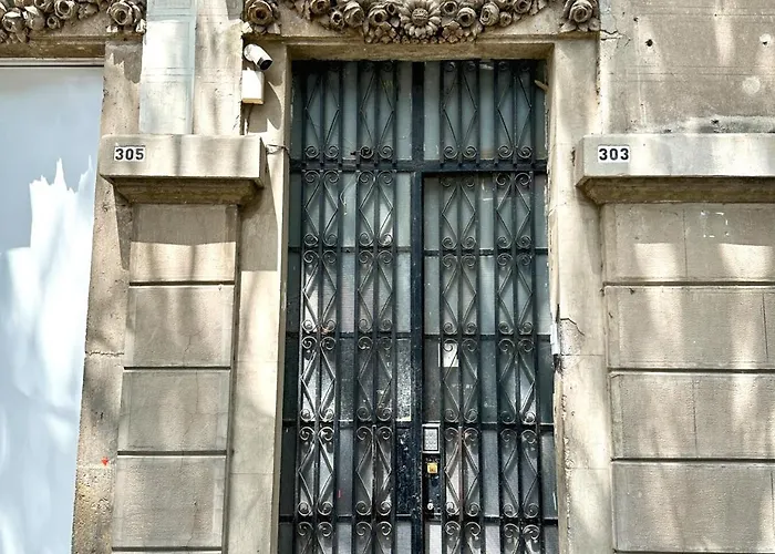 Xolo * México DF
